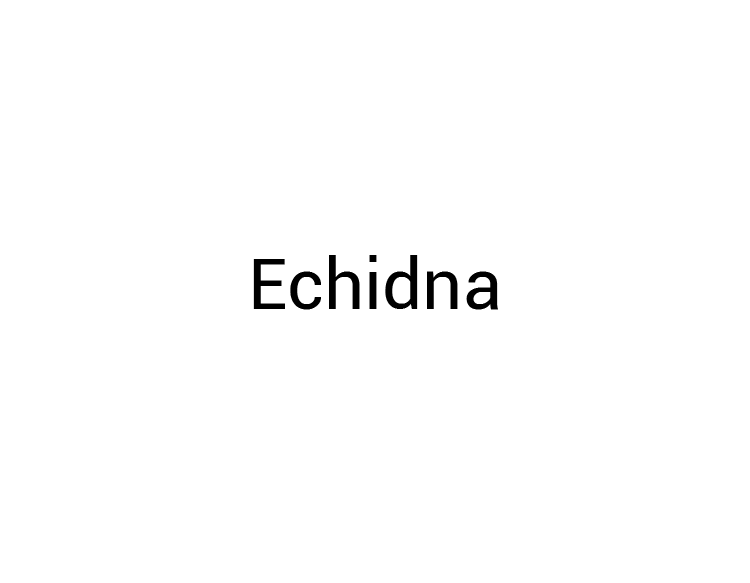 Echidna Logo