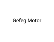 Gefeg Motor Logo