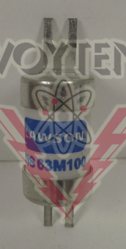 TIS63M100 Fuse by Lawson