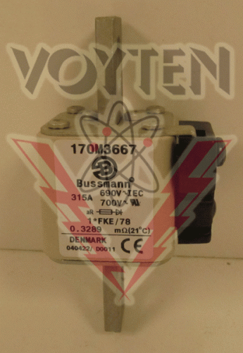 170M3667 Fuse by Bussmann