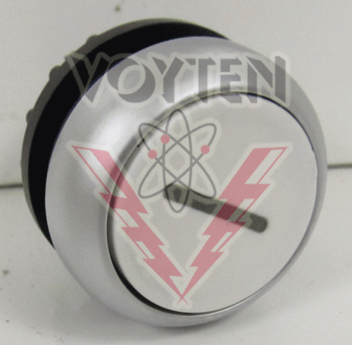 M22-D-W-X1 Pushbutton by Moeller