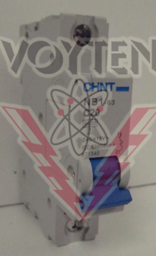 NB1-63C20 Circuit Breaker by Chint