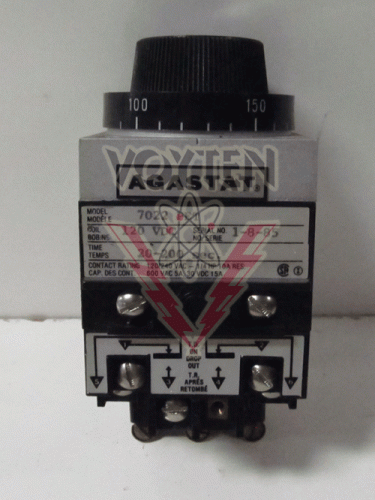 7022PET Timing Relay by Agastat