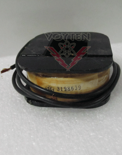 3198639 Coil by General Electric