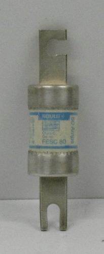 FESC80 Fuse by Gould