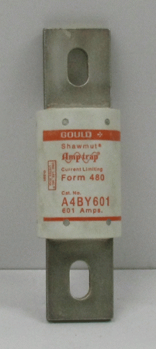 A4BY601 Fuse by Gould