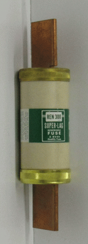 REN300 Fuse by Cooper Bussman
