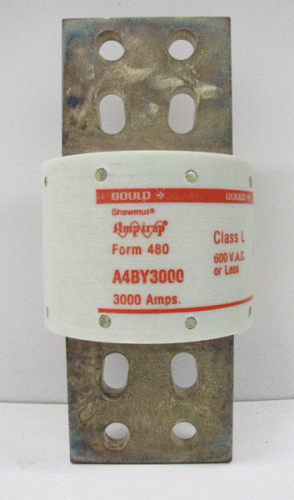 A4BY3000 AmpTrap Fuse by Gould