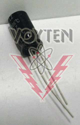 89LZ1000M6.3V REC Capacitors