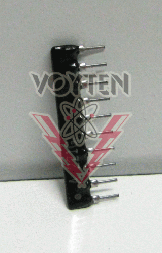 53RAA10221G Resistors