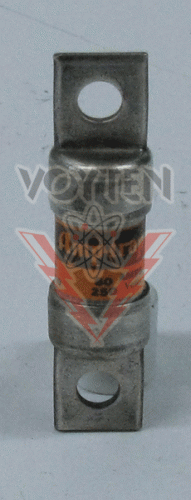 A25Z60 Fuse by Ferraz Shawmut