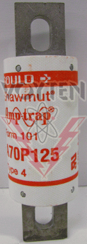 A70P125-4 Fuse by Gould