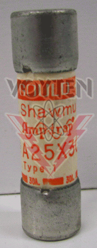 A25X30 Fuse by Gould