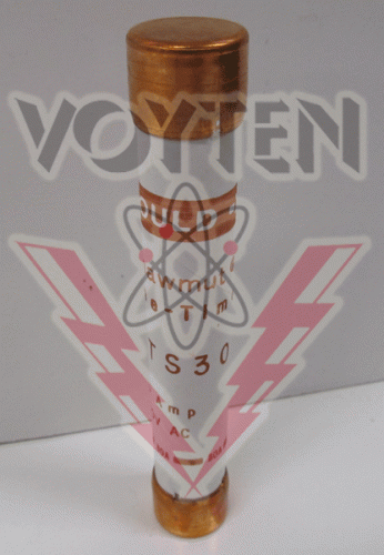 0TS30 Fuse by Bussmann