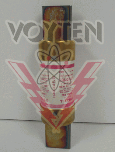 TR250 Fuse by Shawmut